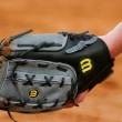 OISA_web_softball_glove