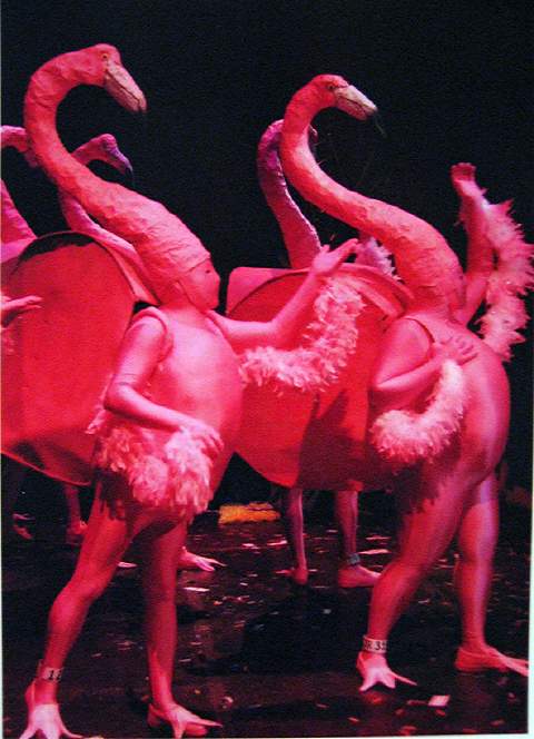 Duct-tape flamingo costumes created by McBurney for Cornyation